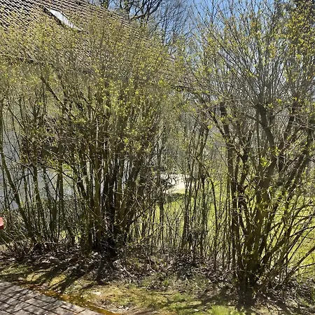 Waldfee - Stilvolles Kemmerode
